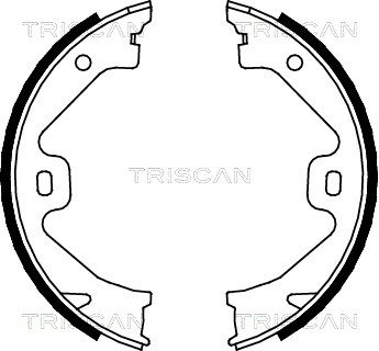 TRISCAN stabdžių trinkelių komplektas, stovėjimo stabdis 8100 17011
