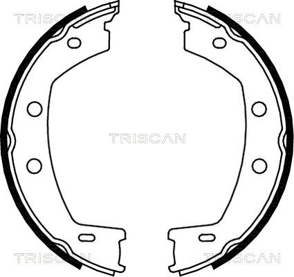TRISCAN Комплект тормозных колодок, стояночная тормозная с 8100 17013