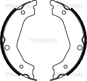 TRISCAN Комплект тормозных колодок, стояночная тормозная с 8100 18004