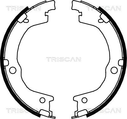 TRISCAN Комплект тормозных колодок, стояночная тормозная с 8100 18006