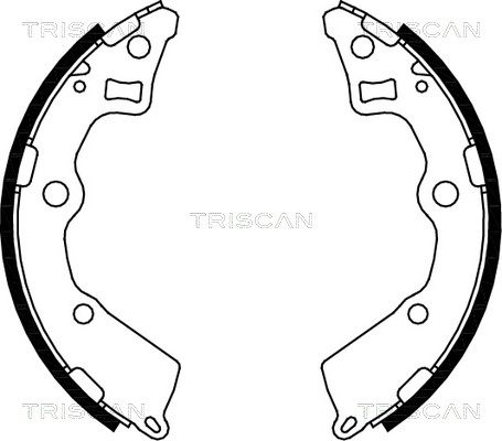 TRISCAN Комплект тормозных колодок 8100 18008