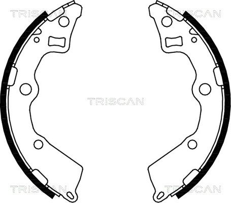 TRISCAN stabdžių trinkelių komplektas 8100 18008