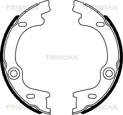 TRISCAN stabdžių trinkelių komplektas, stovėjimo stabdis 8100 18010