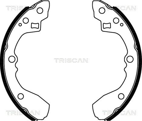 TRISCAN Комплект тормозных колодок 8100 18012