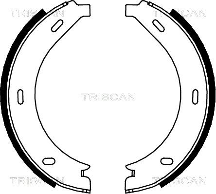 TRISCAN stabdžių trinkelių komplektas, stovėjimo stabdis 8100 23023