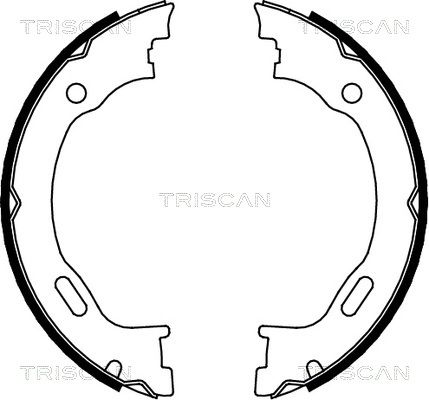 TRISCAN Комплект тормозных колодок, стояночная тормозная с 8100 23028