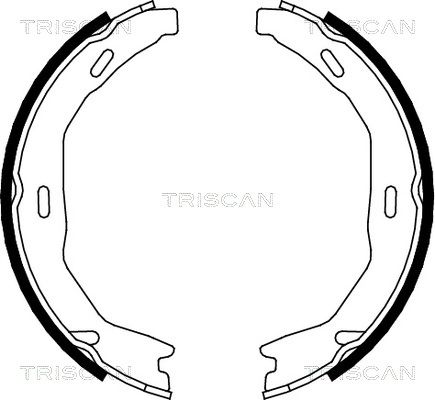 TRISCAN stabdžių trinkelių komplektas, stovėjimo stabdis 8100 23029