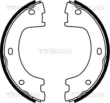 TRISCAN stabdžių trinkelių komplektas 8100 23032