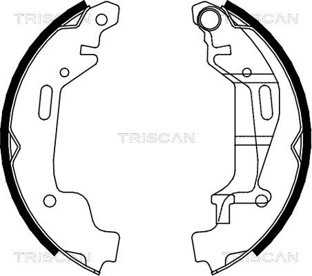 TRISCAN Комплект тормозных колодок 8100 24001