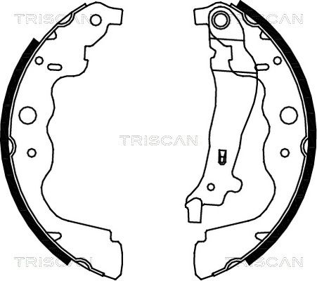 TRISCAN stabdžių trinkelių komplektas 8100 25004