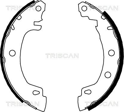 TRISCAN stabdžių trinkelių komplektas 8100 25581