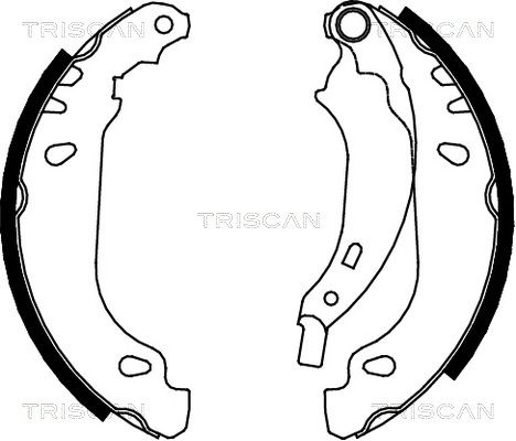 TRISCAN Комплект тормозных колодок 8100 25637