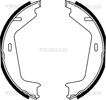 TRISCAN Комплект тормозных колодок, стояночная тормозная с 8100 27579