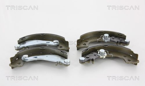 TRISCAN Комплект тормозных колодок 8100 28054