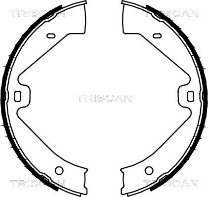 TRISCAN stabdžių trinkelių komplektas, stovėjimo stabdis 8100 29002