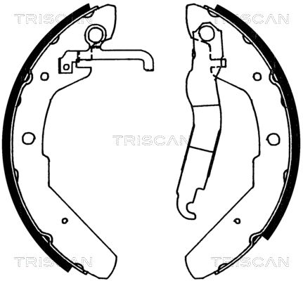TRISCAN Комплект тормозных колодок 8100 29370