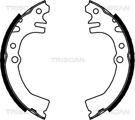 TRISCAN Комплект тормозных колодок 8100 41613