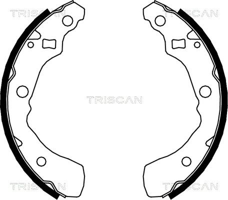 TRISCAN Комплект тормозных колодок 8100 41618