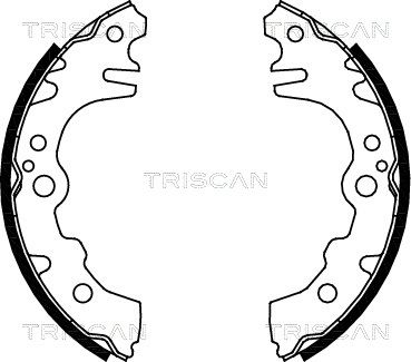 TRISCAN Комплект тормозных колодок 8100 41619