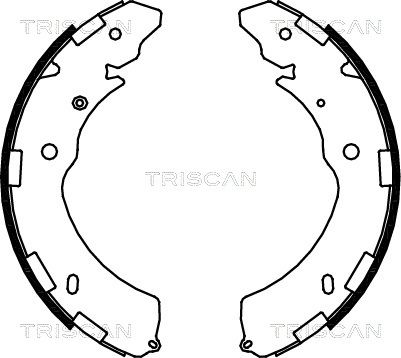 TRISCAN Комплект тормозных колодок 8100 42021