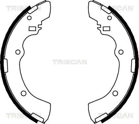 TRISCAN stabdžių trinkelių komplektas 8100 42505