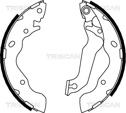 TRISCAN Комплект тормозных колодок, стояночная тормозная с 8100 43013