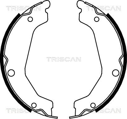 TRISCAN Комплект тормозных колодок 8100 43019