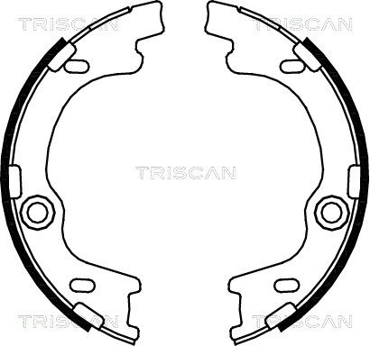 TRISCAN stabdžių trinkelių komplektas 8100 43021