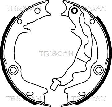 TRISCAN Комплект тормозных колодок, стояночная тормозная с 8100 43023
