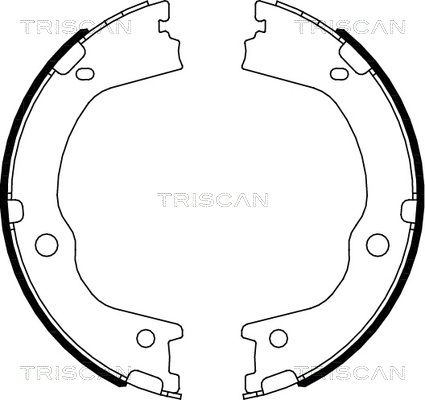 TRISCAN Комплект тормозных колодок, стояночная тормозная с 8100 43027