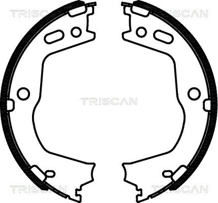 TRISCAN Комплект тормозных колодок, стояночная тормозная с 8100 43028