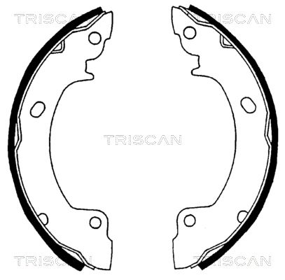 TRISCAN stabdžių trinkelių komplektas 8100 43529