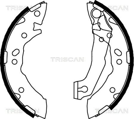 TRISCAN Комплект тормозных колодок 8100 43621