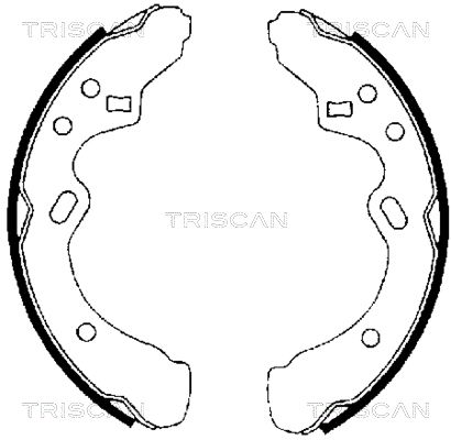 TRISCAN stabdžių trinkelių komplektas 8100 50438