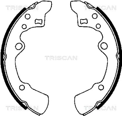 TRISCAN stabdžių trinkelių komplektas 8100 50496