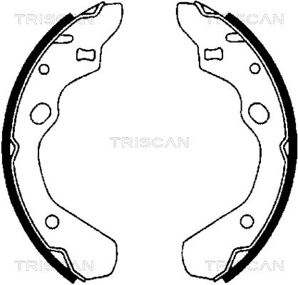 TRISCAN stabdžių trinkelių komplektas 8100 50500