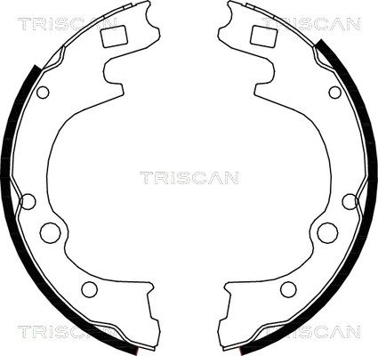 TRISCAN stabdžių trinkelių komplektas 8100 50604