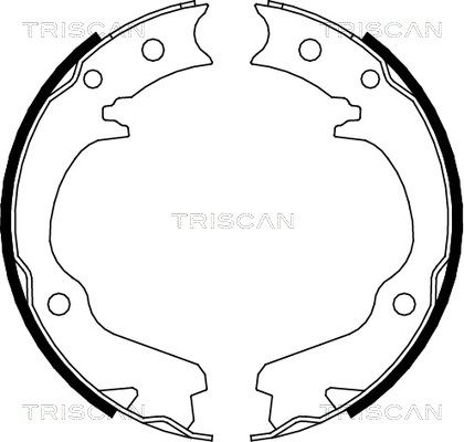 TRISCAN stabdžių trinkelių komplektas 8100 68001