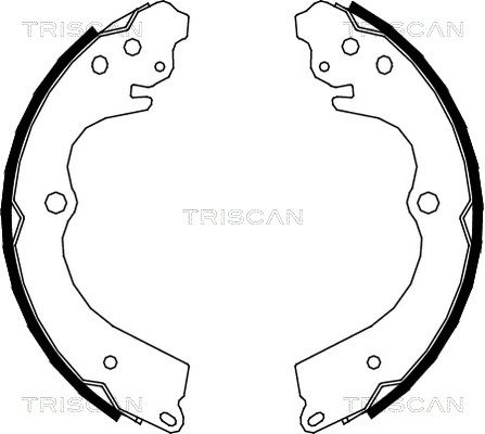 TRISCAN Комплект тормозных колодок, стояночная тормозная с 8100 68005