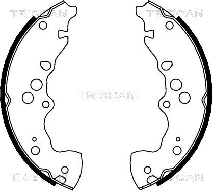 TRISCAN Комплект тормозных колодок 8100 69003