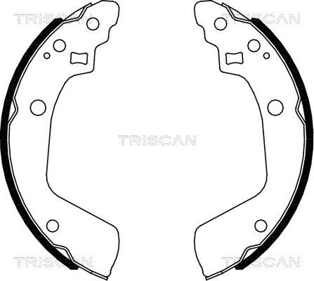 TRISCAN Комплект тормозных колодок 8100 69008