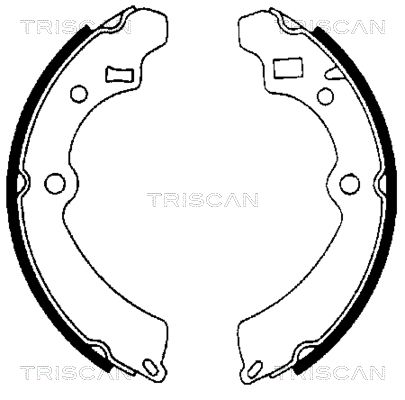 TRISCAN Комплект тормозных колодок 8100 69521
