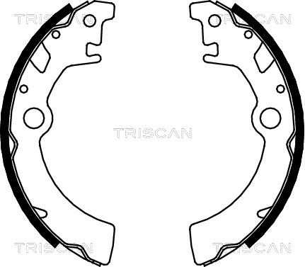 TRISCAN stabdžių trinkelių komplektas 8100 69600