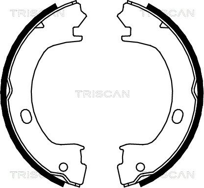 TRISCAN Комплект тормозных колодок, стояночная тормозная с 8100 80003