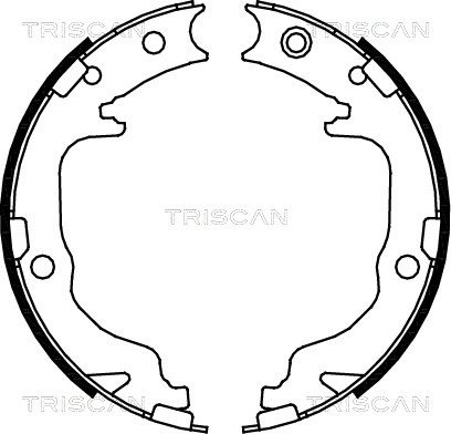TRISCAN Комплект тормозных колодок, стояночная тормозная с 8100 80010