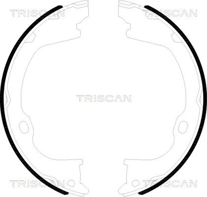 TRISCAN Комплект тормозных колодок, стояночная тормозная с 8100 80019