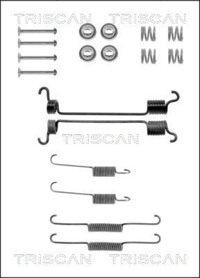 TRISCAN priedų komplektas, stabdžių trinkelės 8105 142561