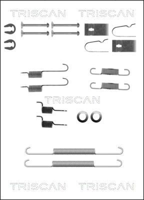 TRISCAN Комплектующие, тормозная колодка 8105 182003