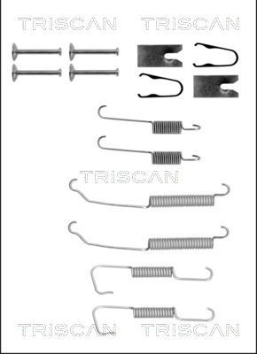 TRISCAN Комплектующие, тормозная колодка 8105 232559