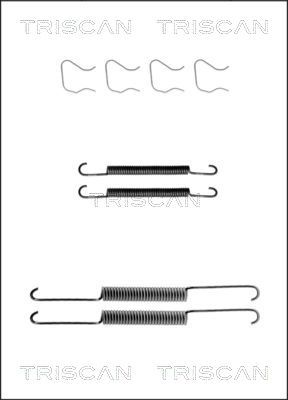 TRISCAN priedų komplektas, stabdžių trinkelės 8105 242413